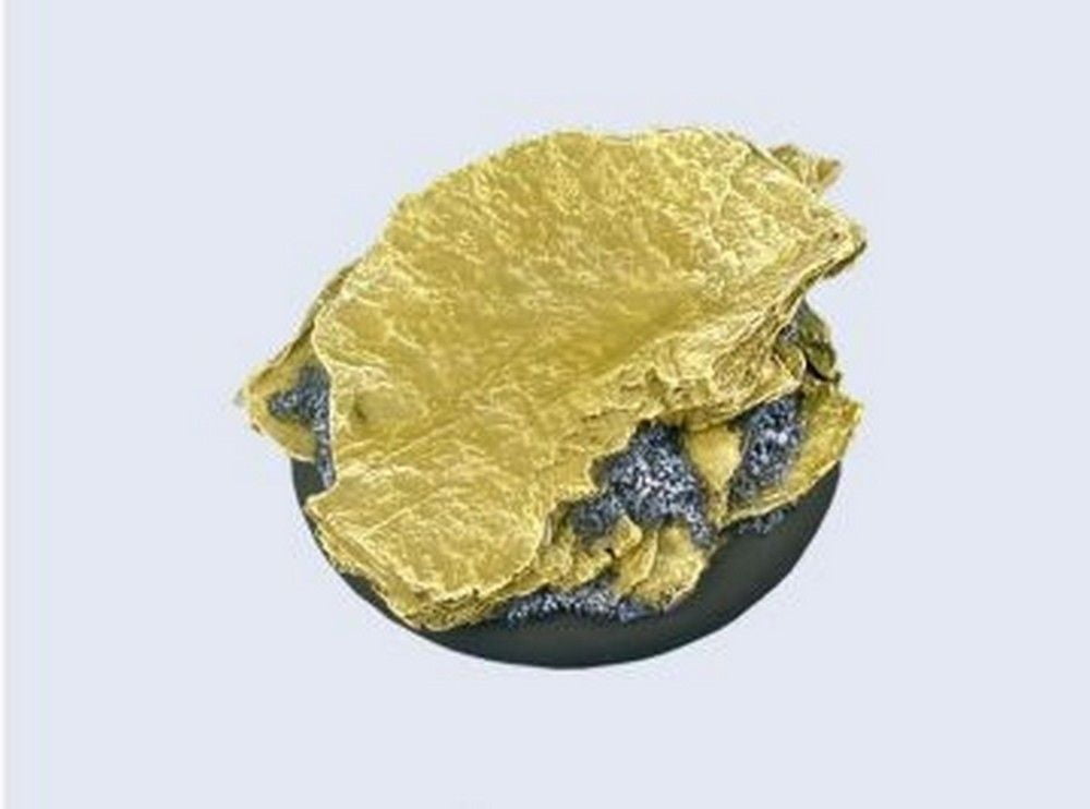 Shale Bases, WRound 50mm (1)