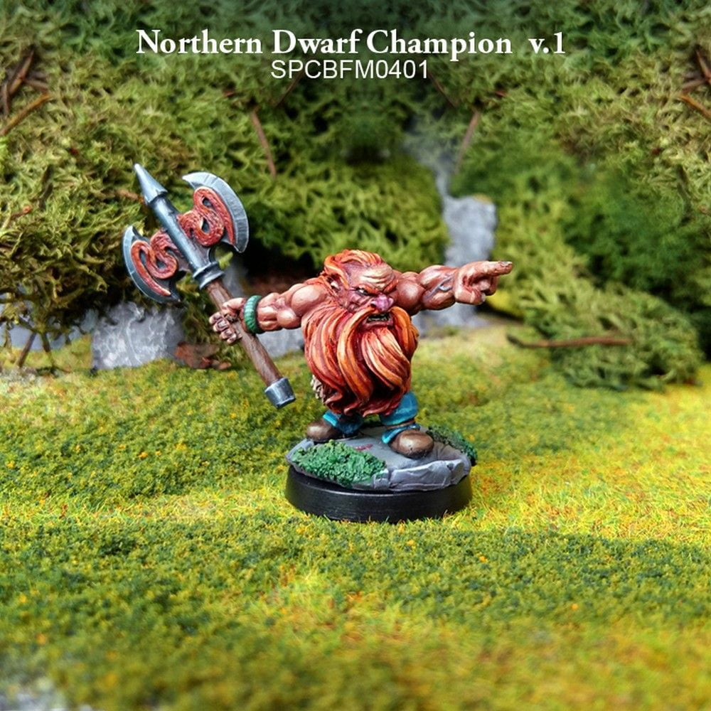 Northern Dwarf Champion v.1