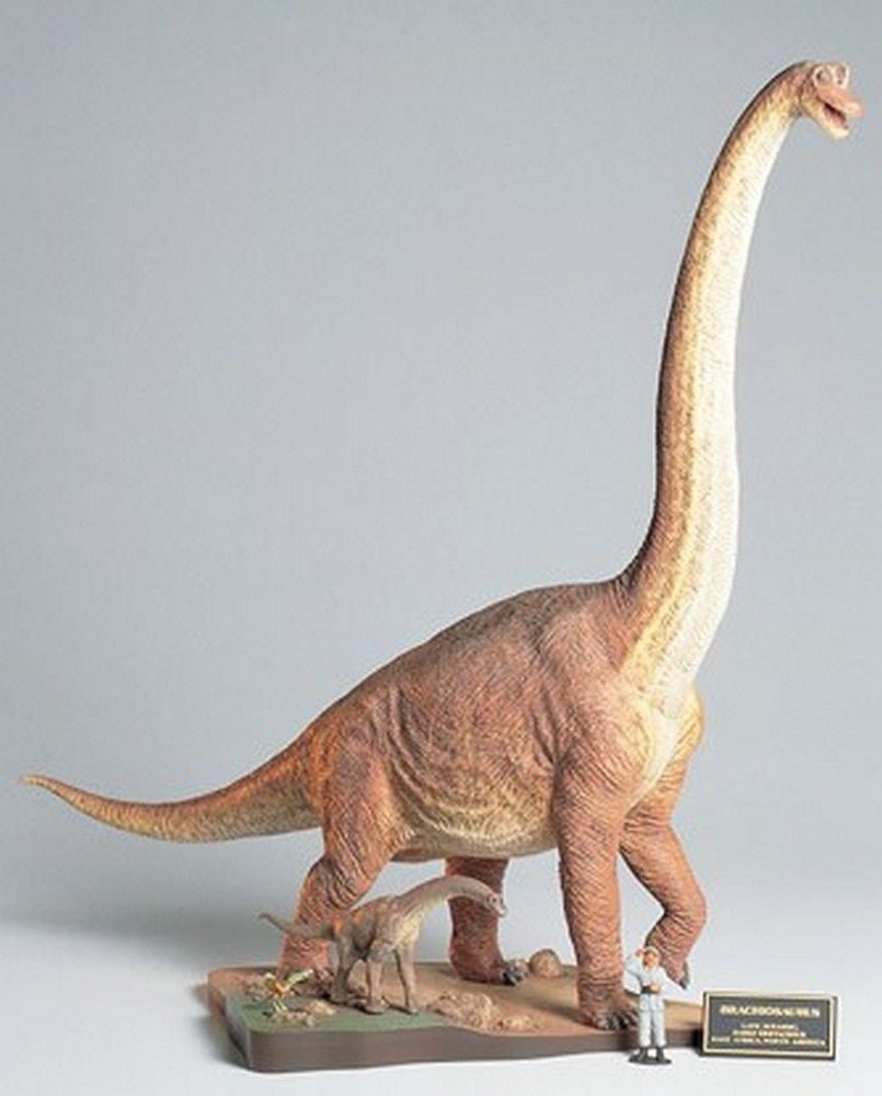 Brachiosaurus Diorama Set