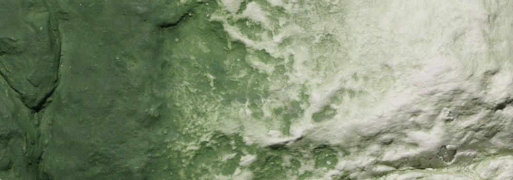 Green Undercoat Earth Colours Liquid Pigment 8 fl. oz.