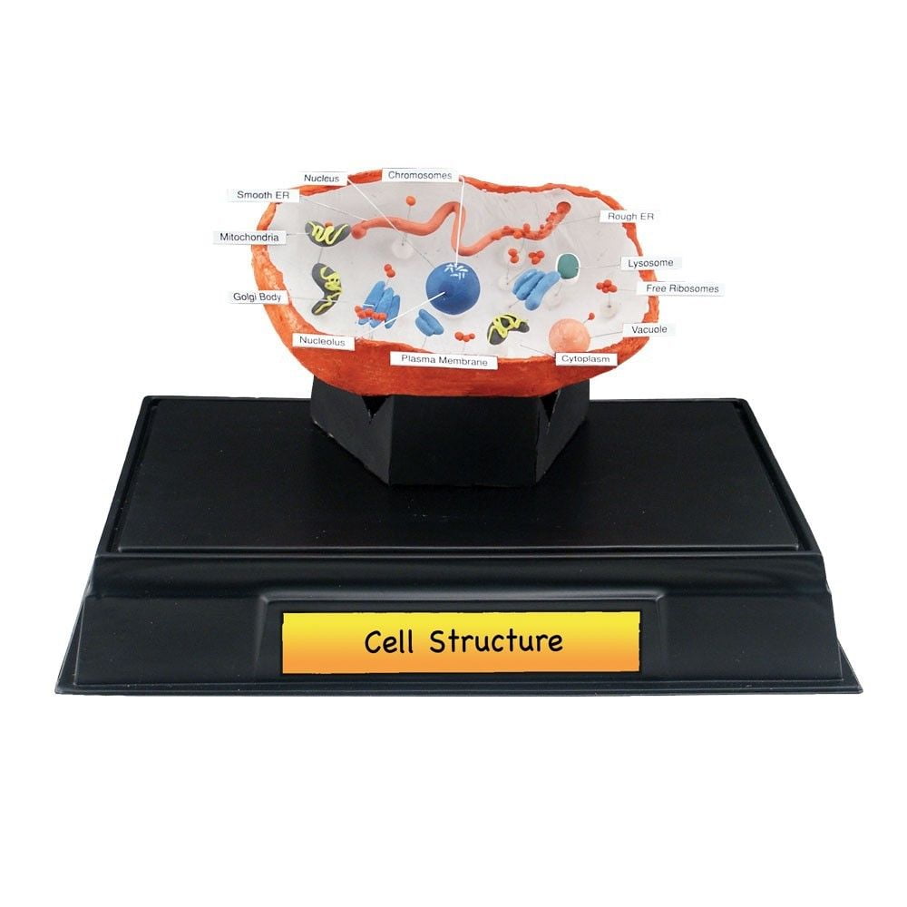 Cell Structure Class Pack