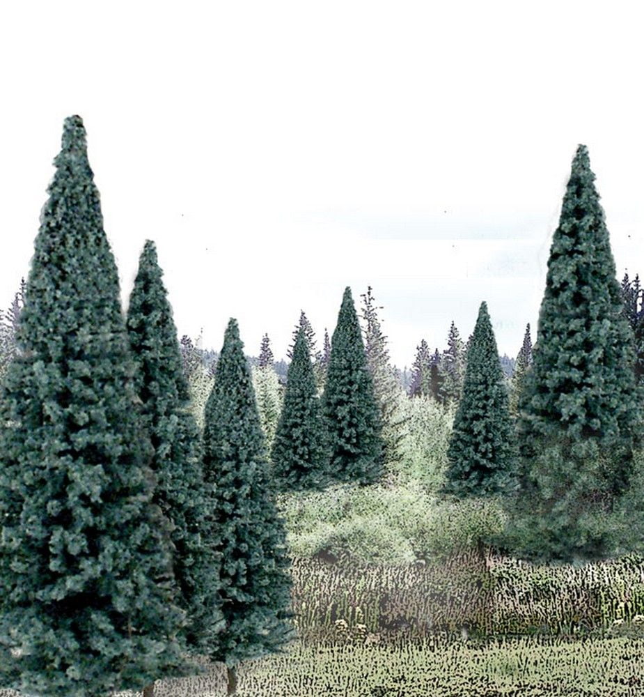 4" - 6" Ready Made Blue Spruce Value Pack (13 / Pk)