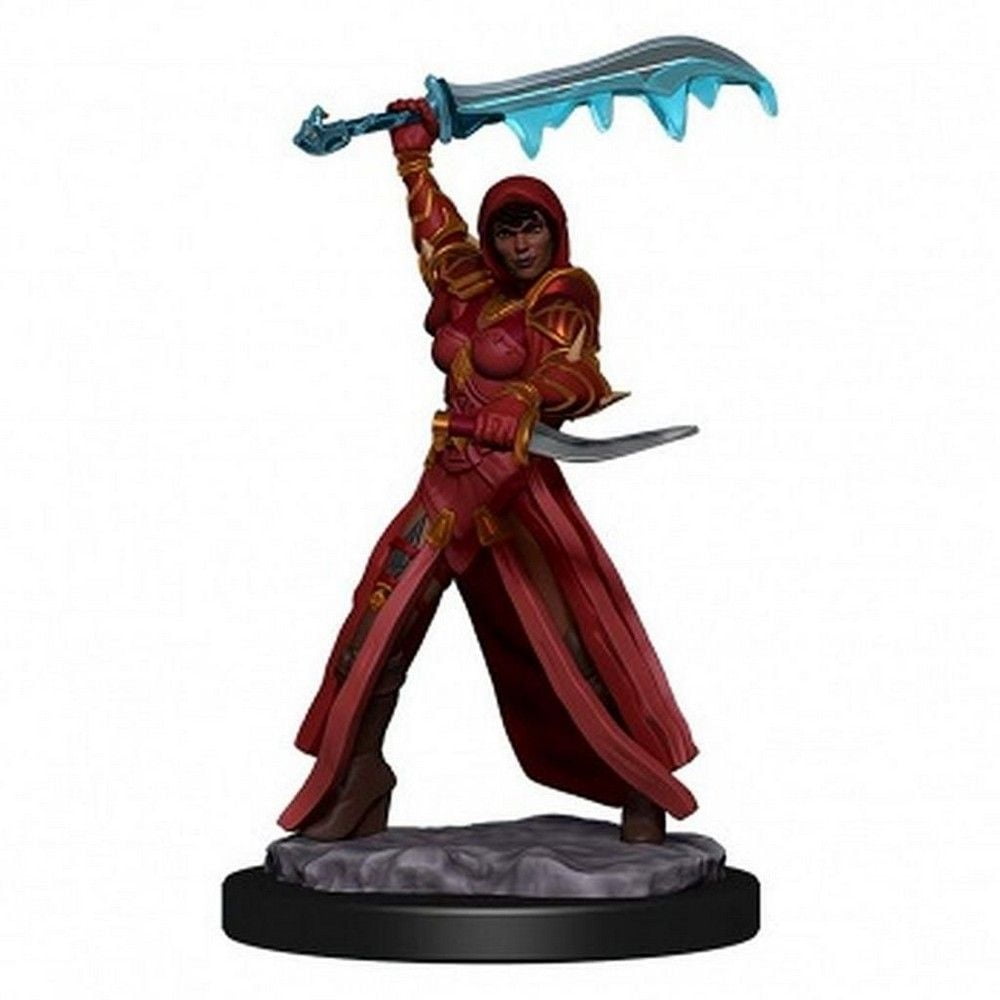 D&D Icons of the Realms: Human Rogue Female