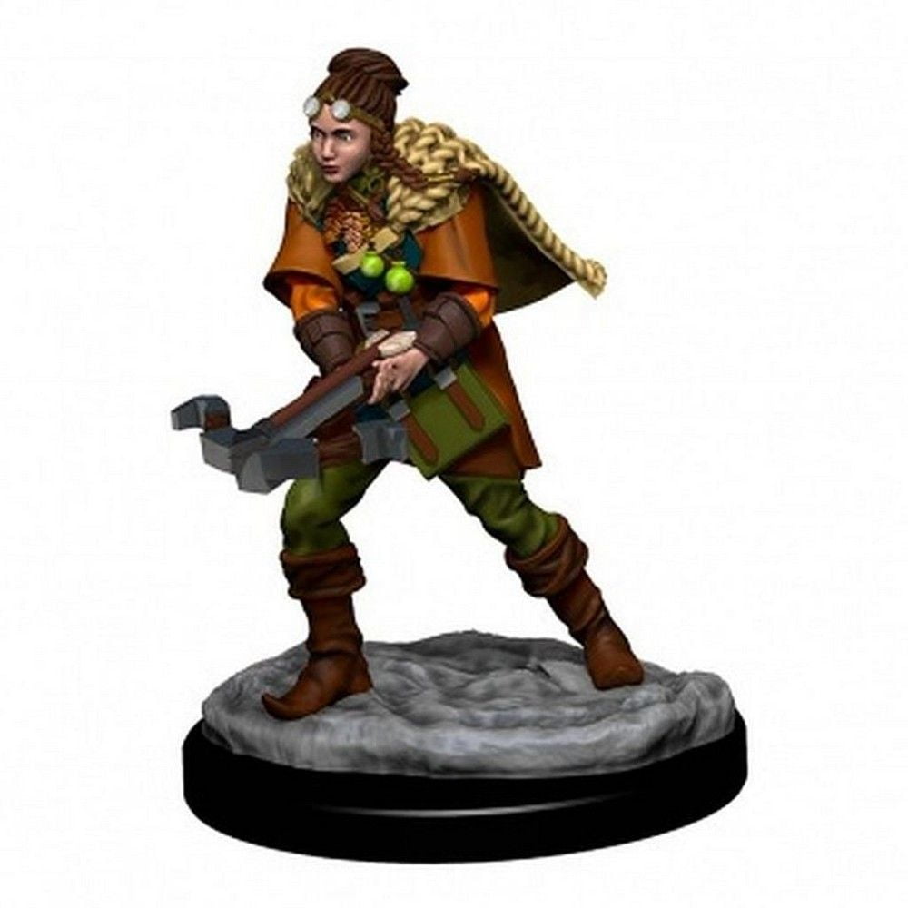 D&D Icons of the Realms: Human Ranger Female