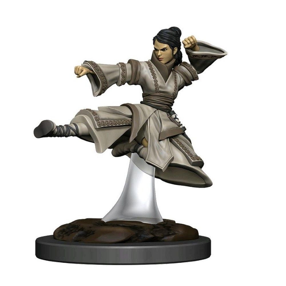 D&D Icons of the Realms: Human Monk Female